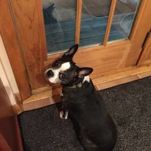 Meet your Posher, Jeanne